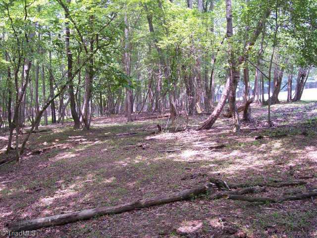 0 Bluegrass Lane Pinnacle, NC 27043 - Photo 3 of 5 Other.