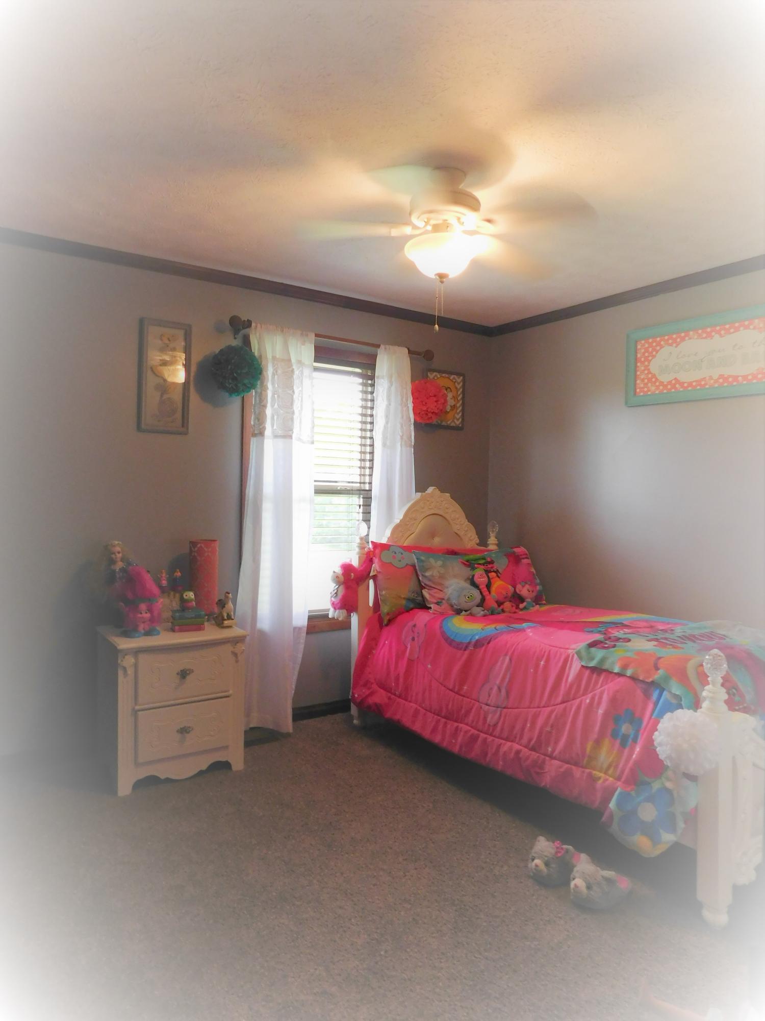 2045 Snodgrass Road New Tazewell, TN 37825 - Photo 23 of 40 DSCN3264