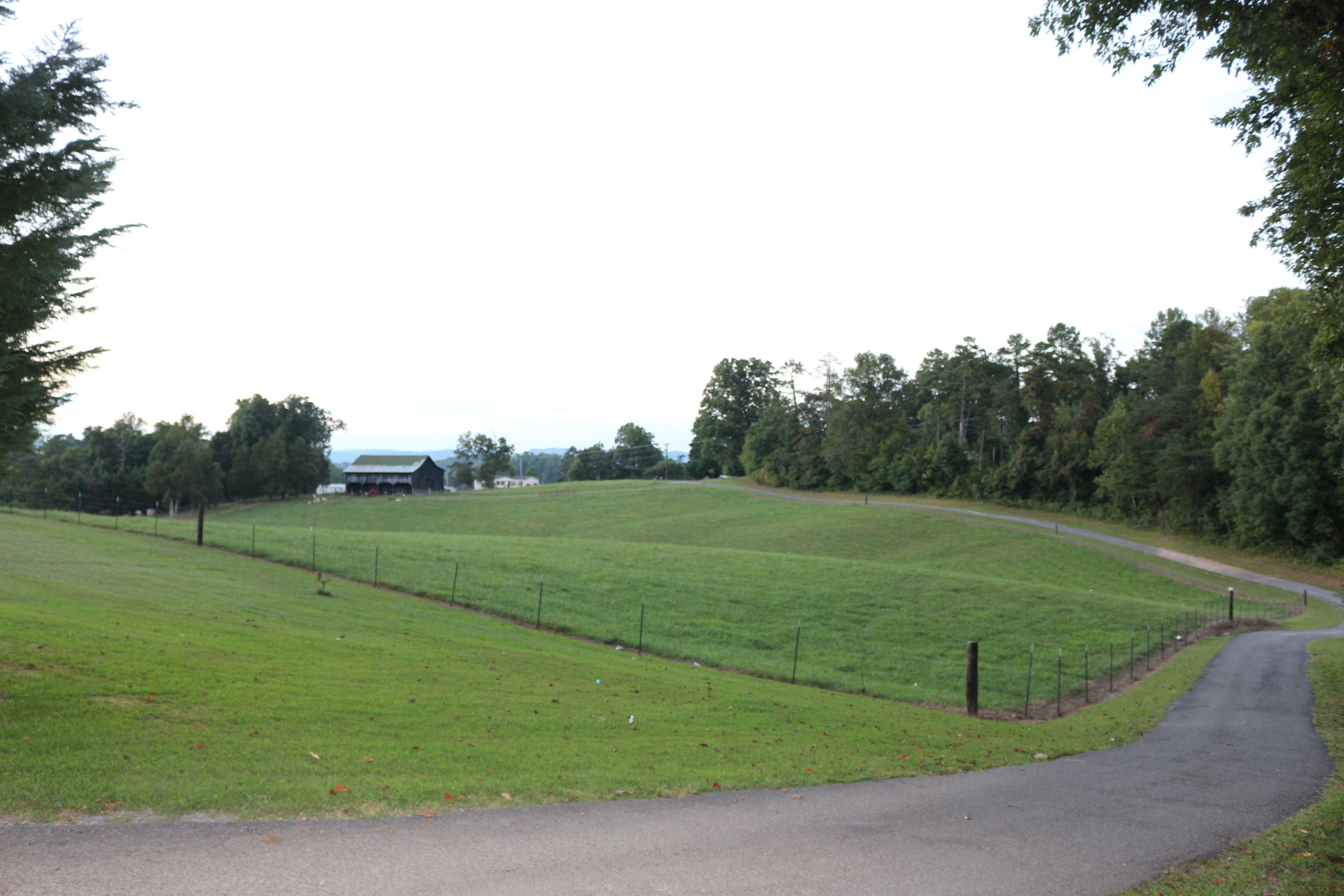 2045 Snodgrass Road New Tazewell, TN 37825 - Photo 31 of 40 IMG_1450