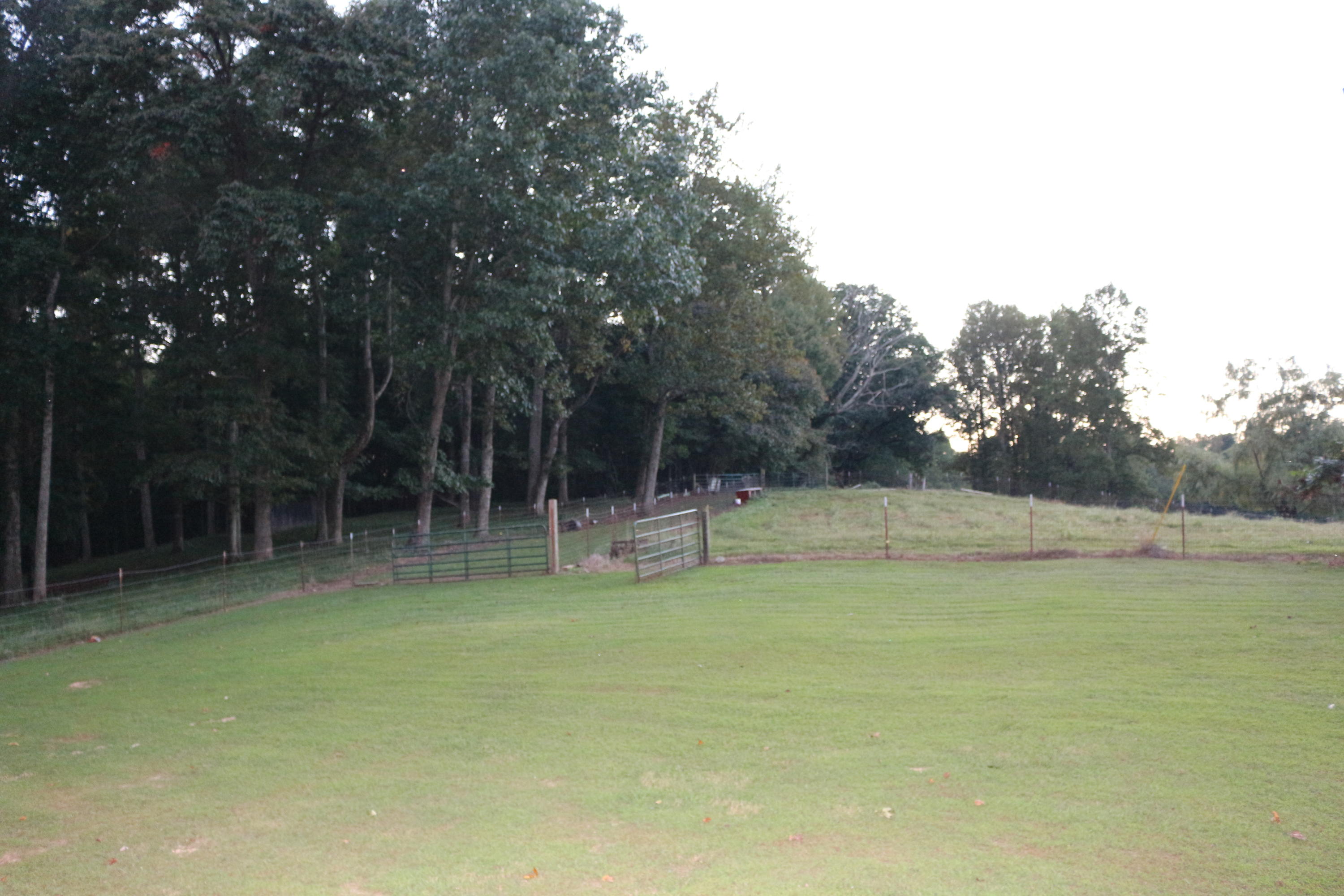 2045 Snodgrass Road New Tazewell, TN 37825 - Photo 32 of 40 IMG_1452