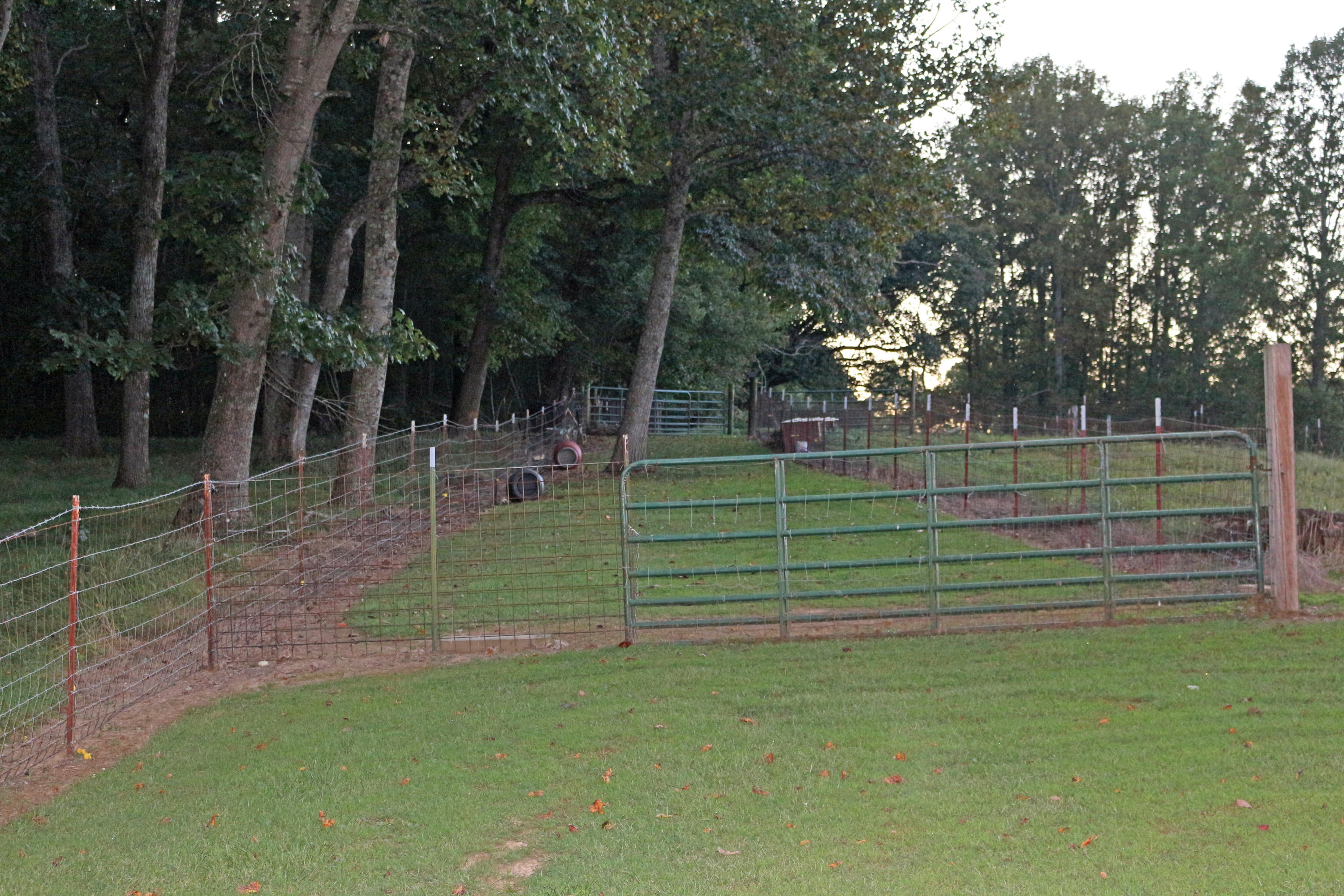 2045 Snodgrass Road New Tazewell, TN 37825 - Photo 33 of 40 IMG_1454_edited-1