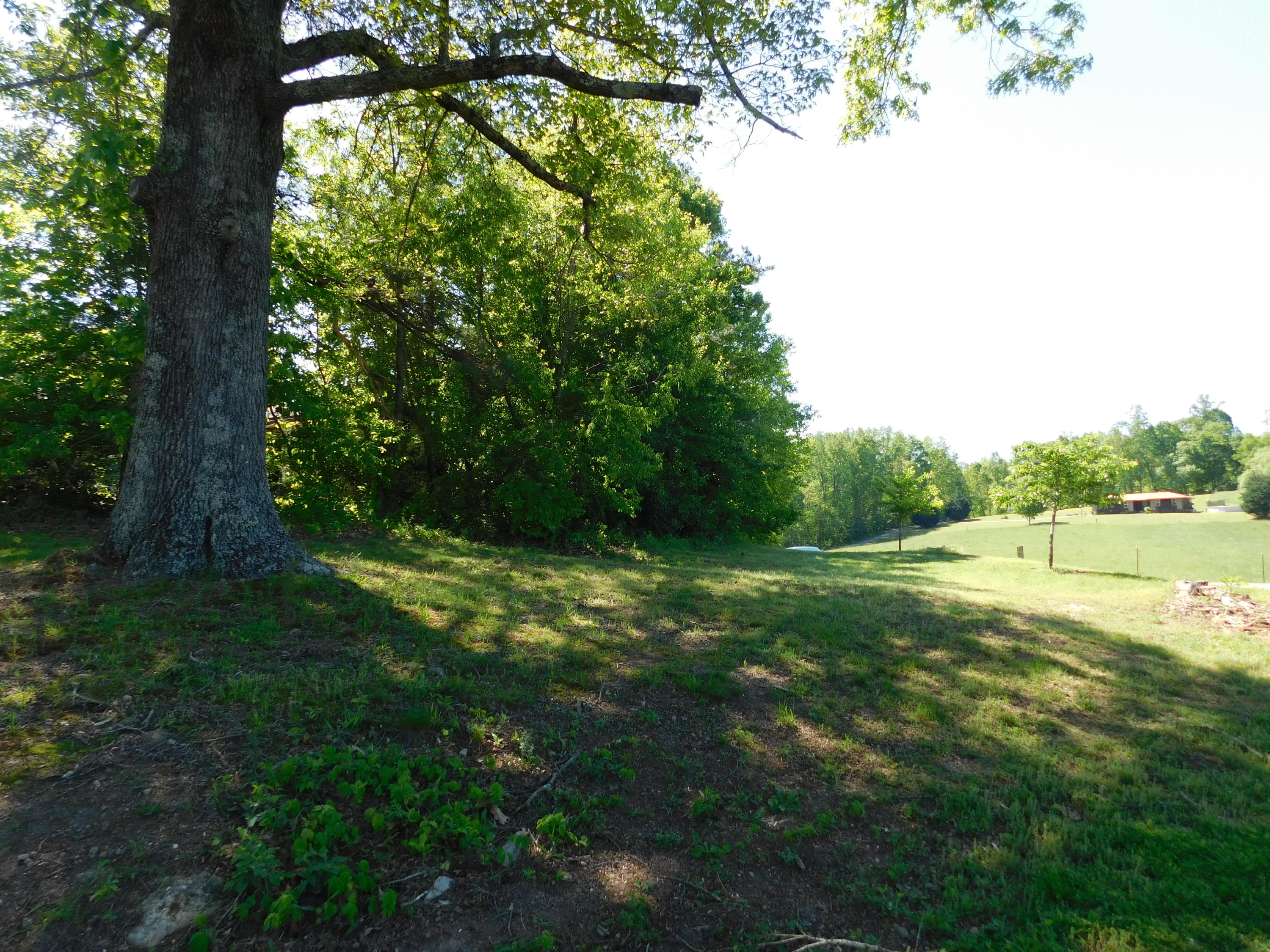 2045 Snodgrass Road New Tazewell, TN 37825 - Photo 35 of 40 DSCN2424