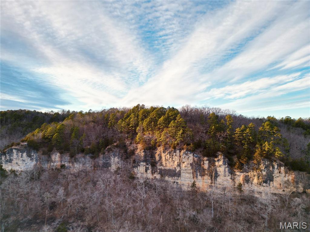 1.00 Hartford Road Dixon, MO 65459 - Photo 2 of 5