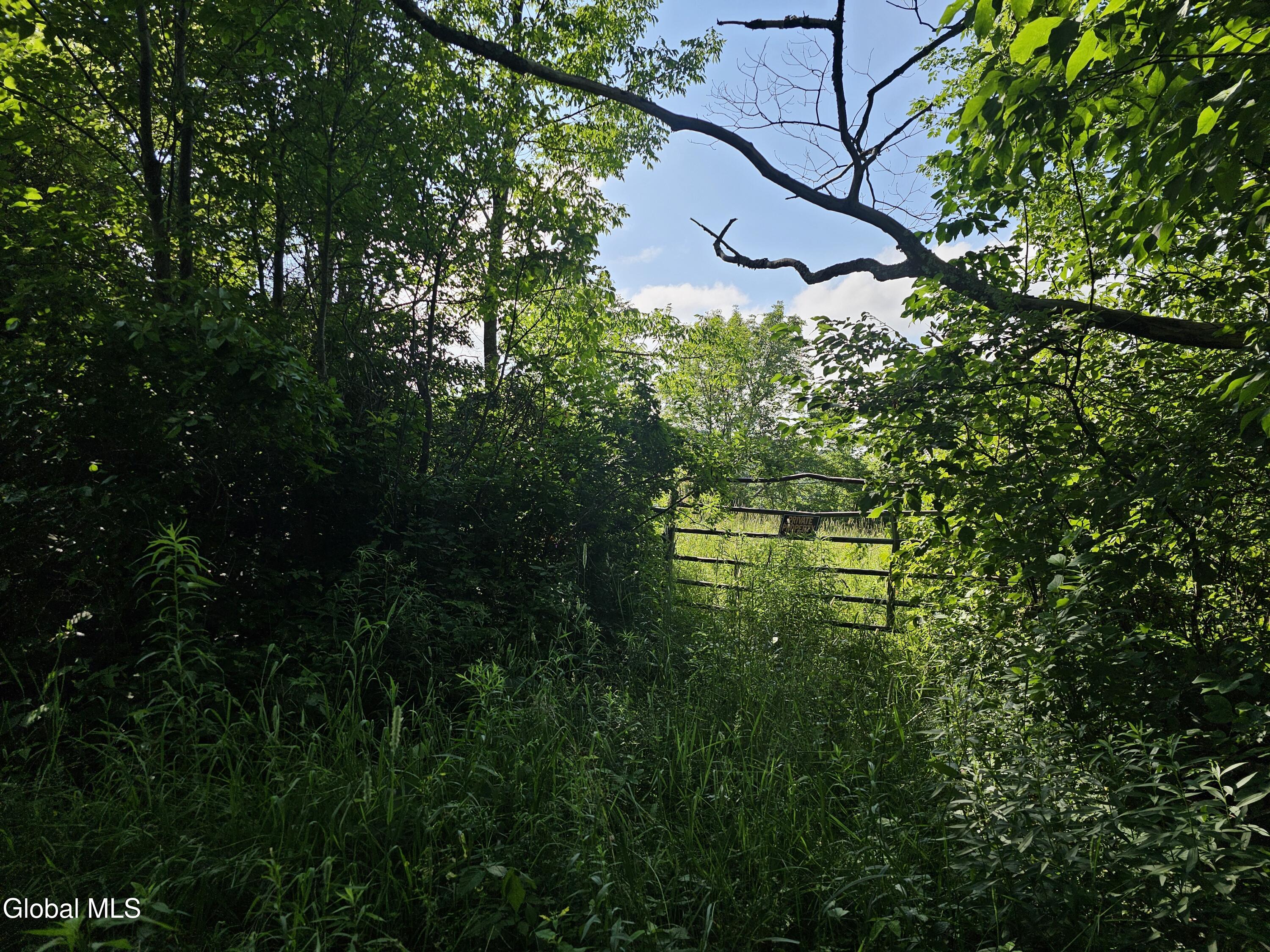 L-11 Earls Road Middleburgh, NY 12122 - Photo 7 of 15 20260709_085629