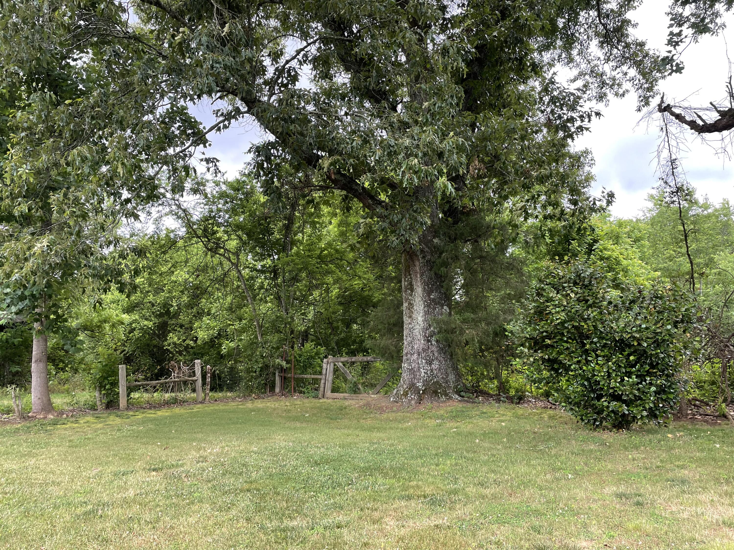 1226 North Union Grove Road Friendsville, TN 37737 - Photo 20 of 24 C2150D9F-6204-4341-B082-DB25F2126F1F