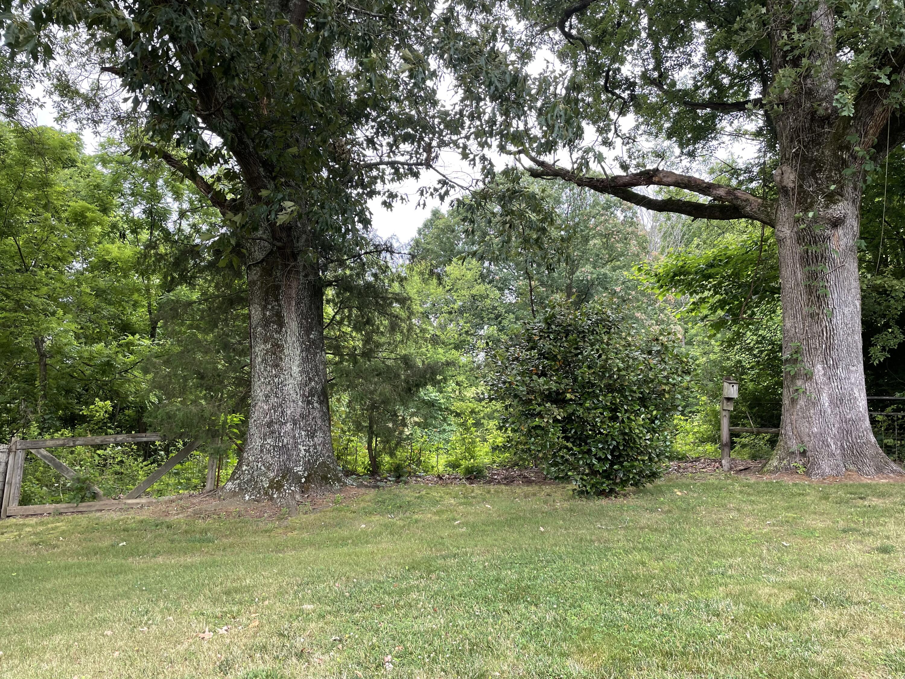 1226 North Union Grove Road Friendsville, TN 37737 - Photo 22 of 24 19C51B9D-8663-4220-A74C-BE369CB32480