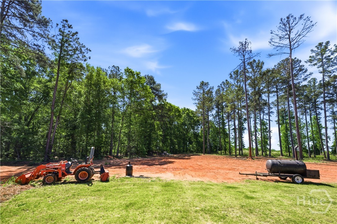 270 Indian Creek Road Good Hope, GA 30641 - Photo 48 of 65