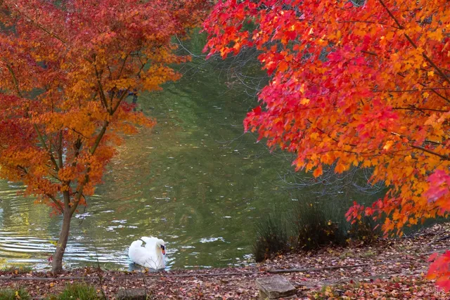 $8,950,000 | 18730 Canyon Road, Sonoma, CA 95476