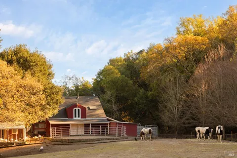 a backyard of a house with lots of green space