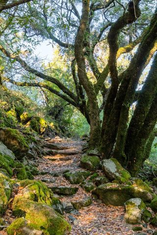 $8,950,000 | 18730 Canyon Road, Sonoma, CA 95476