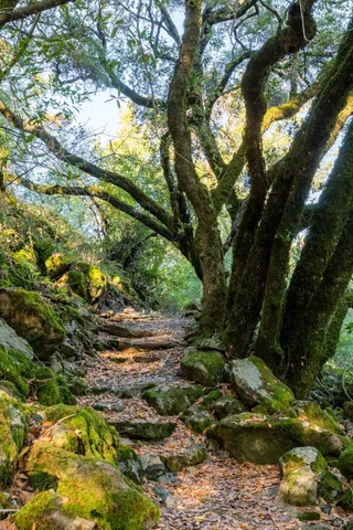 $8,950,000 | 18730 Canyon Road, Sonoma, CA 95476