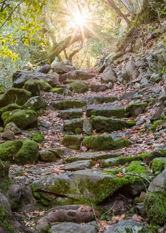 $8,950,000 | 18730 Canyon Road, Sonoma, CA 95476