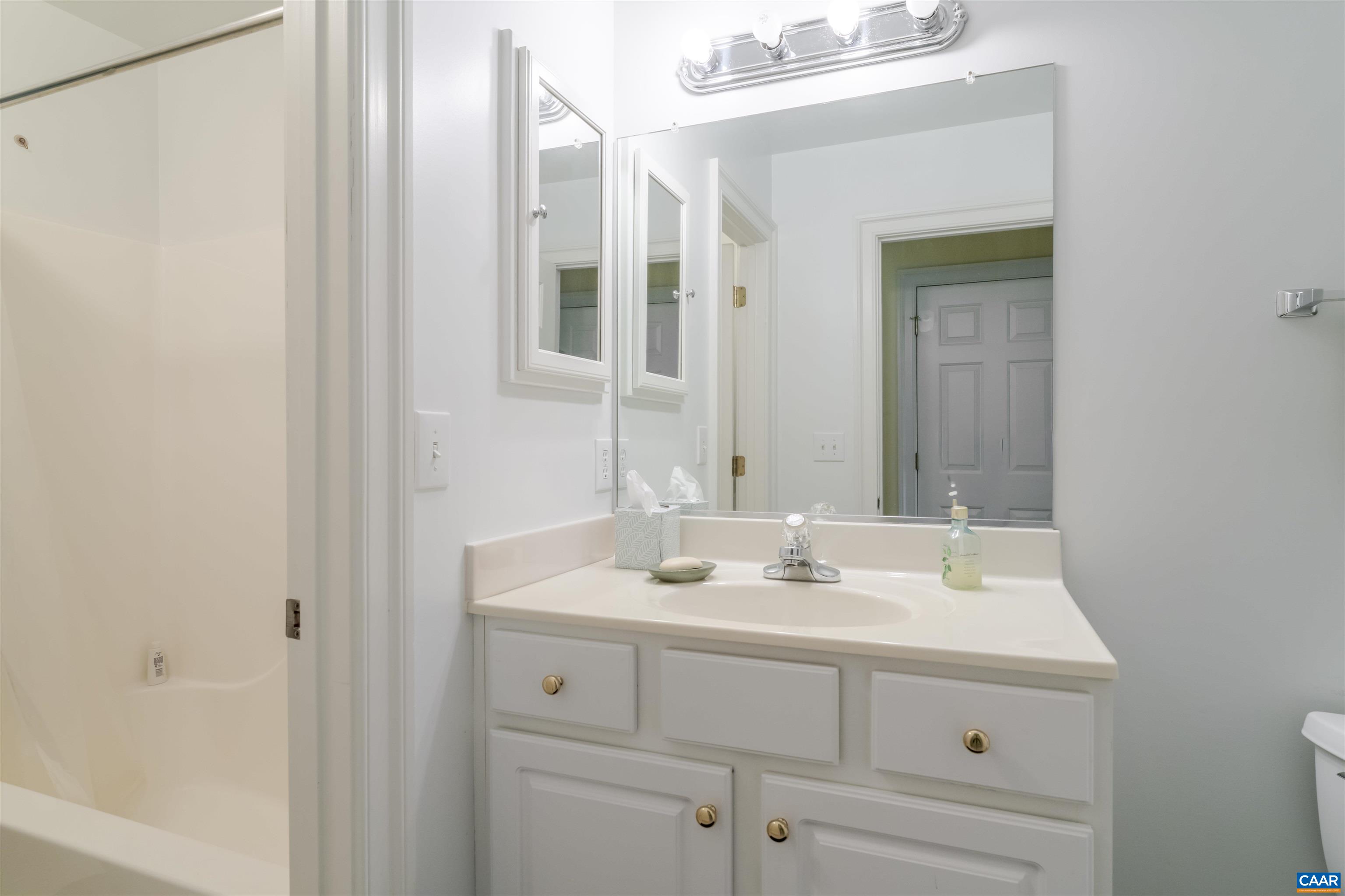 1202 Stonegate Way Crozet, VA 22932 - Photo 35 of 42 a bathroom with a sink and a mirror