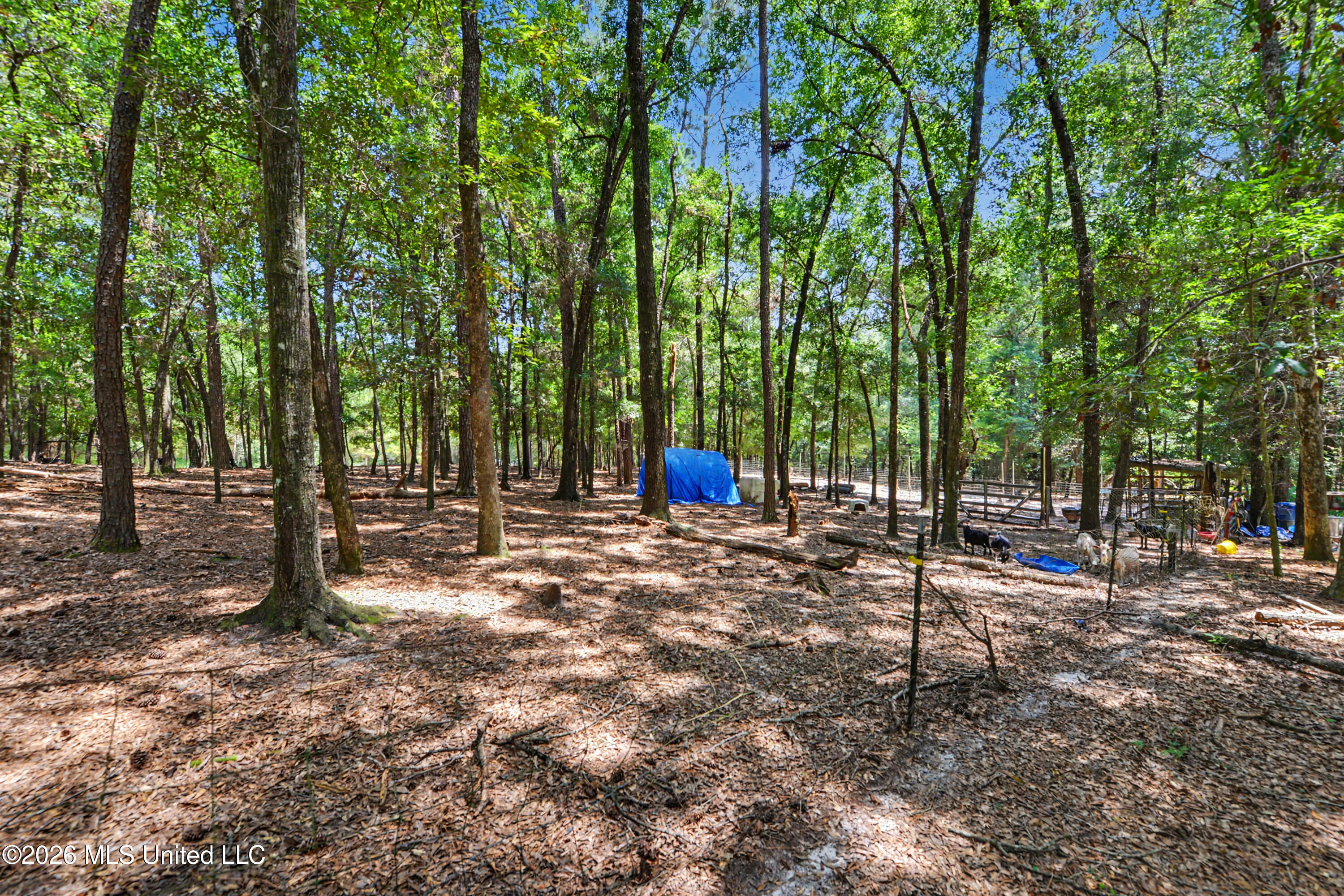 2637 Polly Lake Road Vancleave, MS 39565 - Photo 22 of 24 022