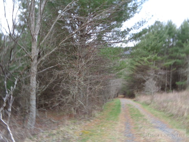 1030 North Fork New River Road Lansing, NC 28643 - Photo 10 of 12 Gallery Image 10