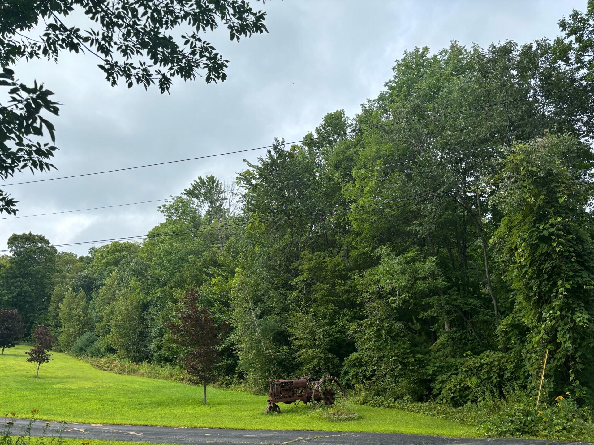 79 Walker Hill Road Jay, ME 04239 - Photo 6 of 23 0401 land