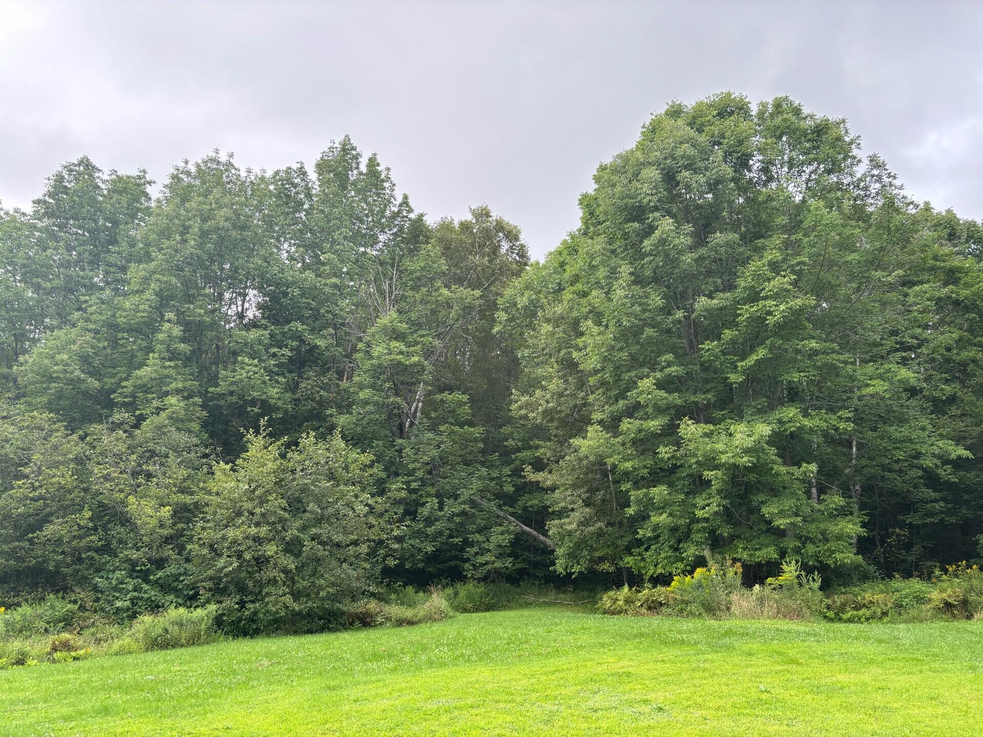 79 Walker Hill Road Jay, ME 04239 - Photo 7 of 23 0401 north of home