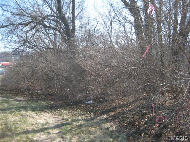 10066 Big Bend Road Crestwood, MO 63126 - Photo 3 of 8