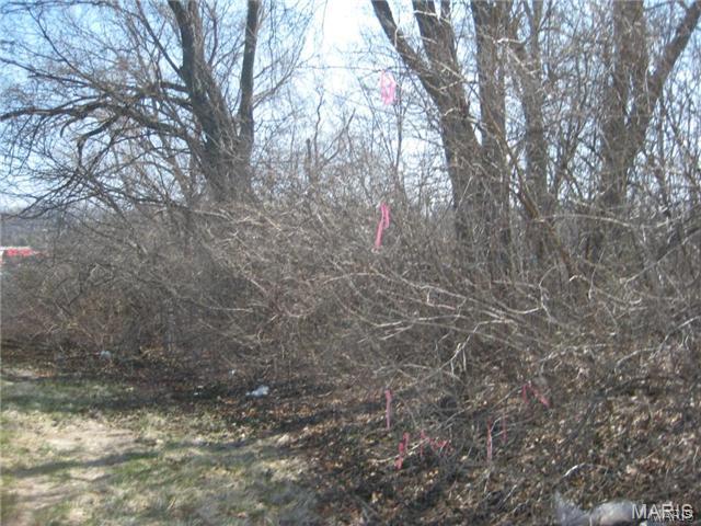 10066 Big Bend Road Crestwood, MO 63126 - Photo 4 of 8