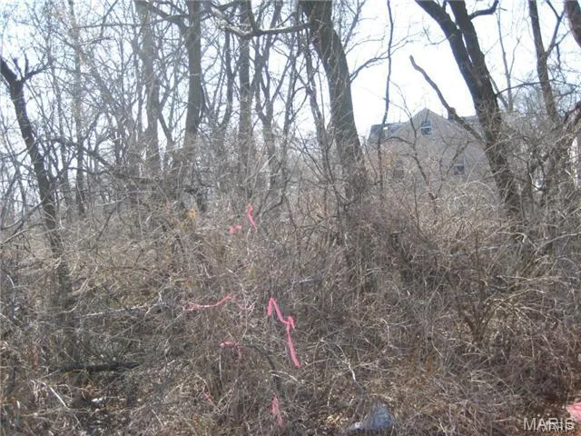 $48,500 | 10066 Big Bend Road, Crestwood, MO 63126