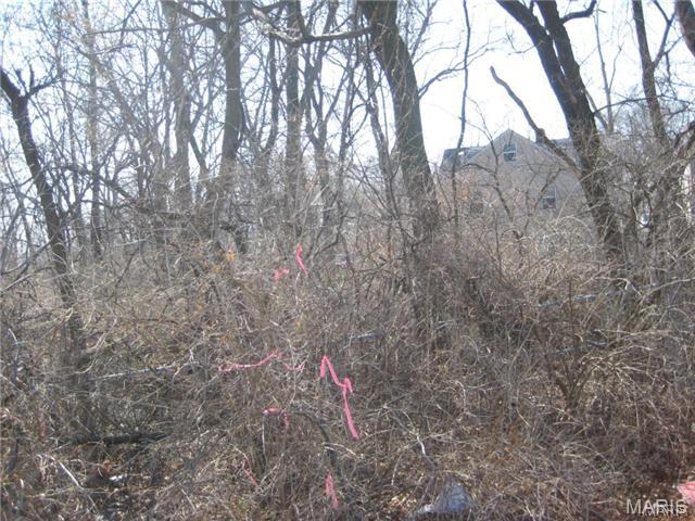 10066 Big Bend Road Crestwood, MO 63126 - Photo 5 of 8