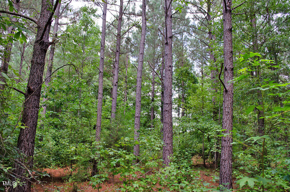 0 Range Road Stem, NC 27581 - Photo 28 of 35 DSC_0046