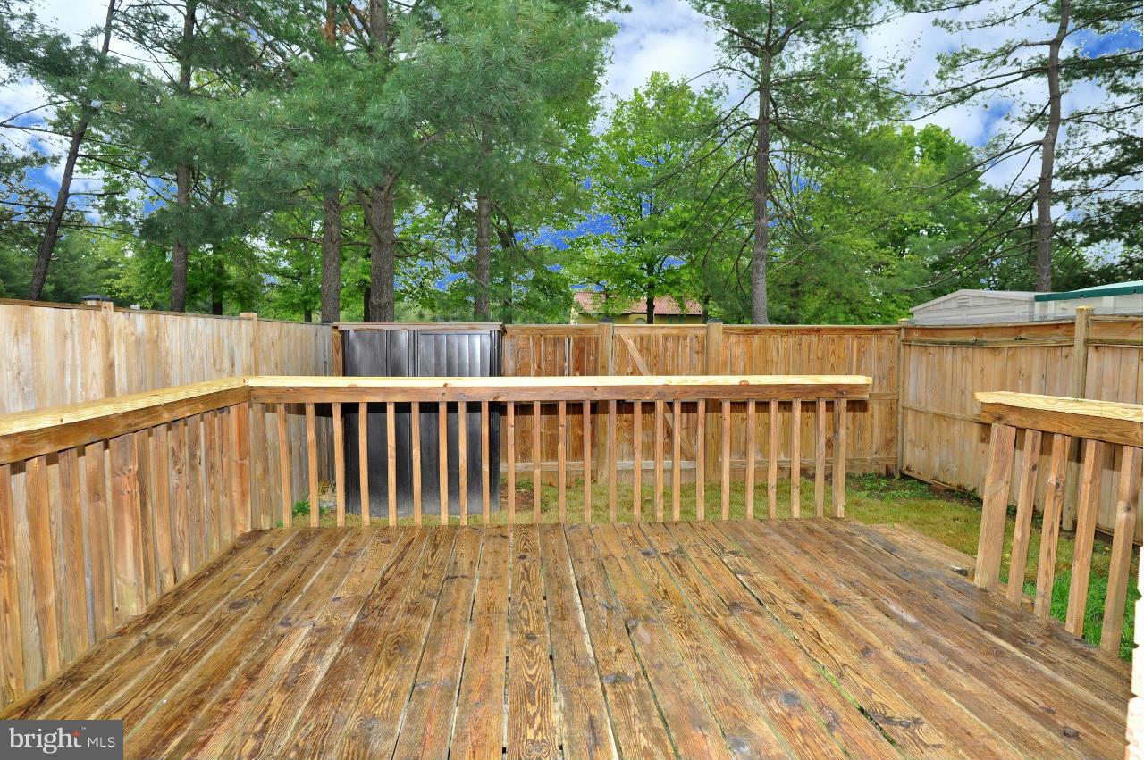 8106 Kenova Lane Springfield, VA 22153 - Photo 6 of 23 Deck and Backyard