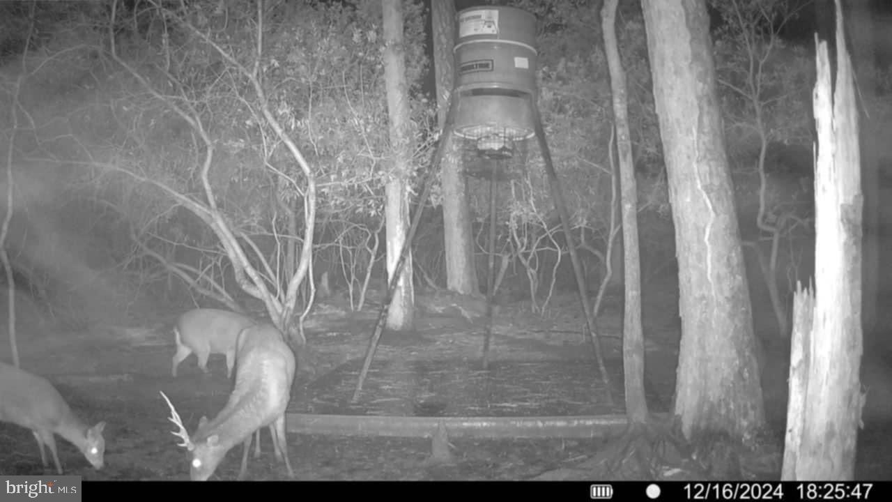 0 Shorters Wharf Road Church Creek, MD 21622 - Photo 12 of 15