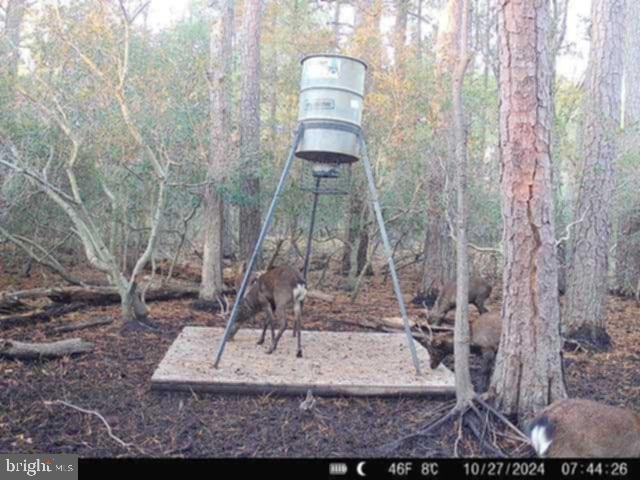 0 Shorters Wharf Road Church Creek, MD 21622 - Photo 15 of 15