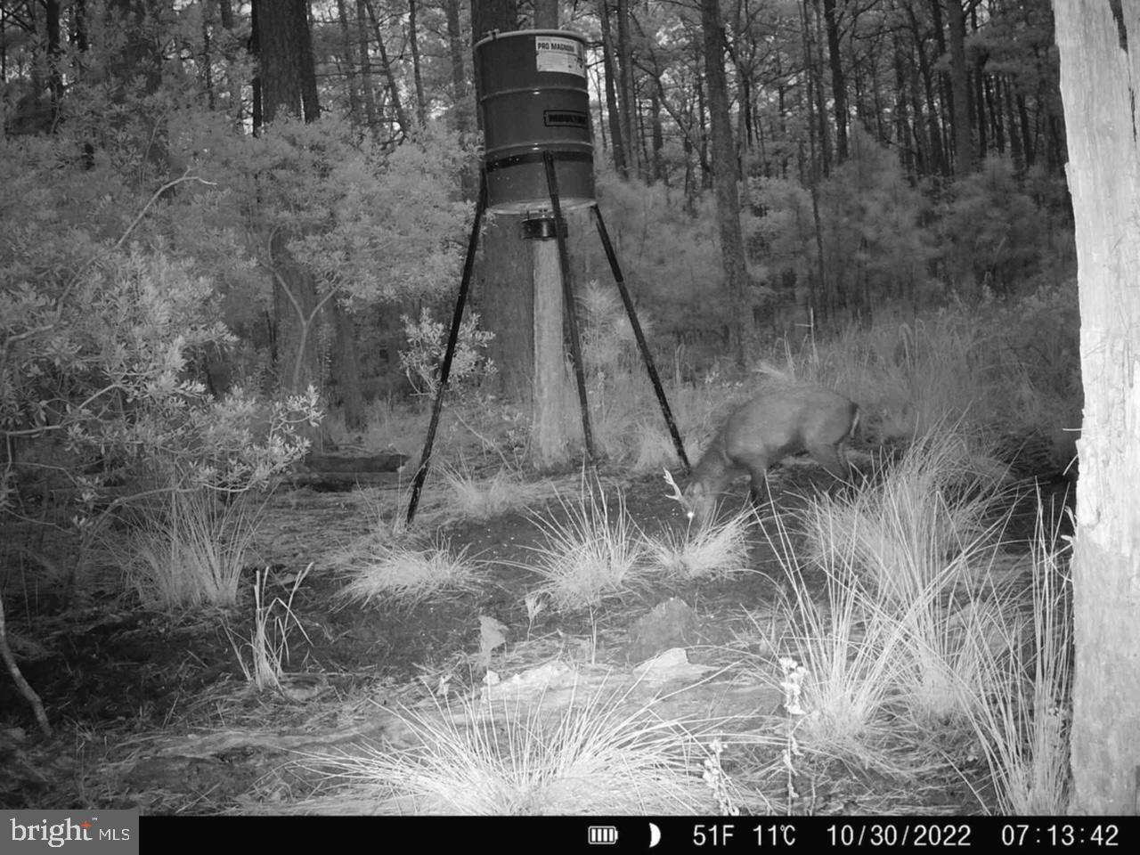 0 Shorters Wharf Road Church Creek, MD 21622 - Photo 6 of 15