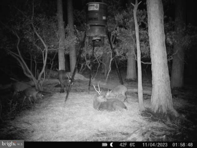 0 Shorters Wharf Road Church Creek, MD 21622 - Photo 8 of 15