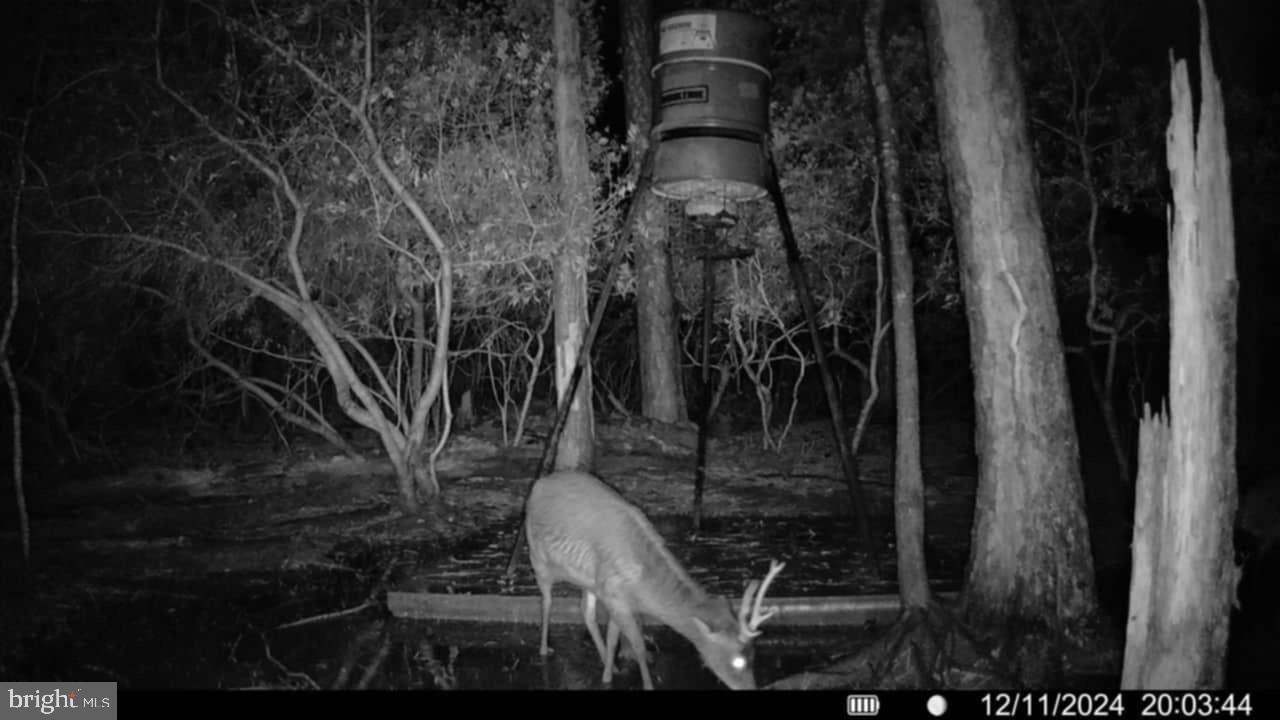 0 Shorters Wharf Road Church Creek, MD 21622 - Photo 10 of 15