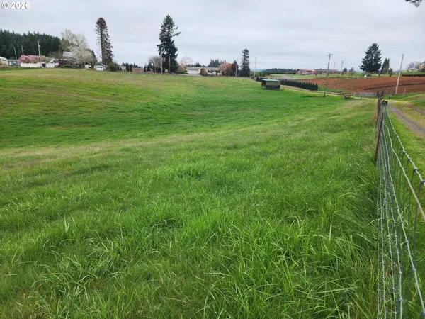 a view of a green field with trees in the background
