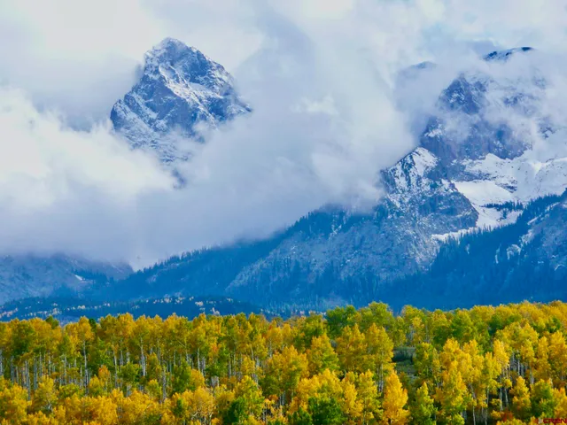 a view of water heater in a yard