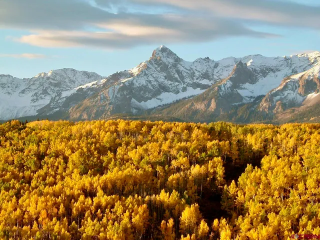a view of wooden floor in a room