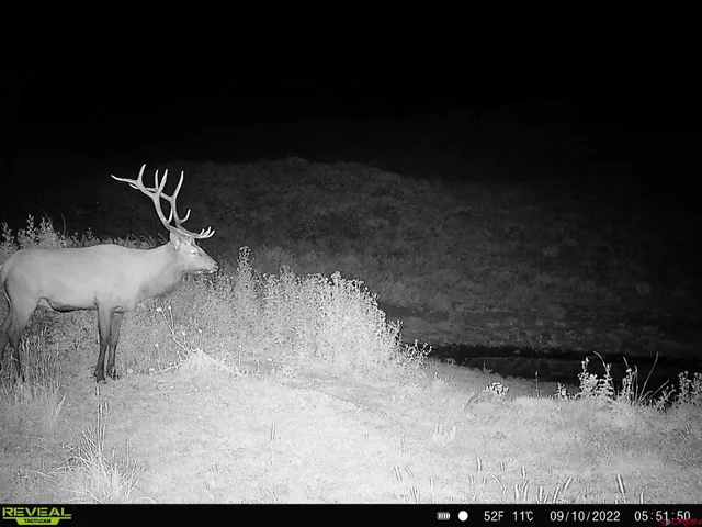 a view of a roof deck