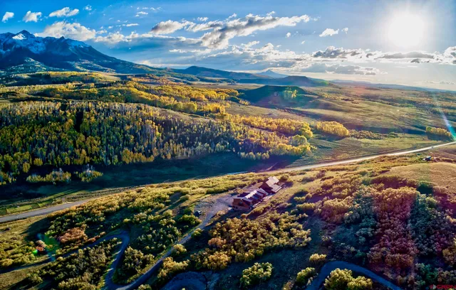 a view of a lot of flowers