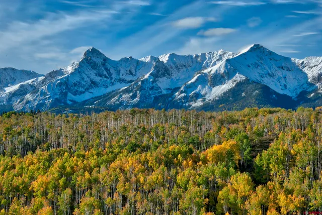 a view of a houses with a yard