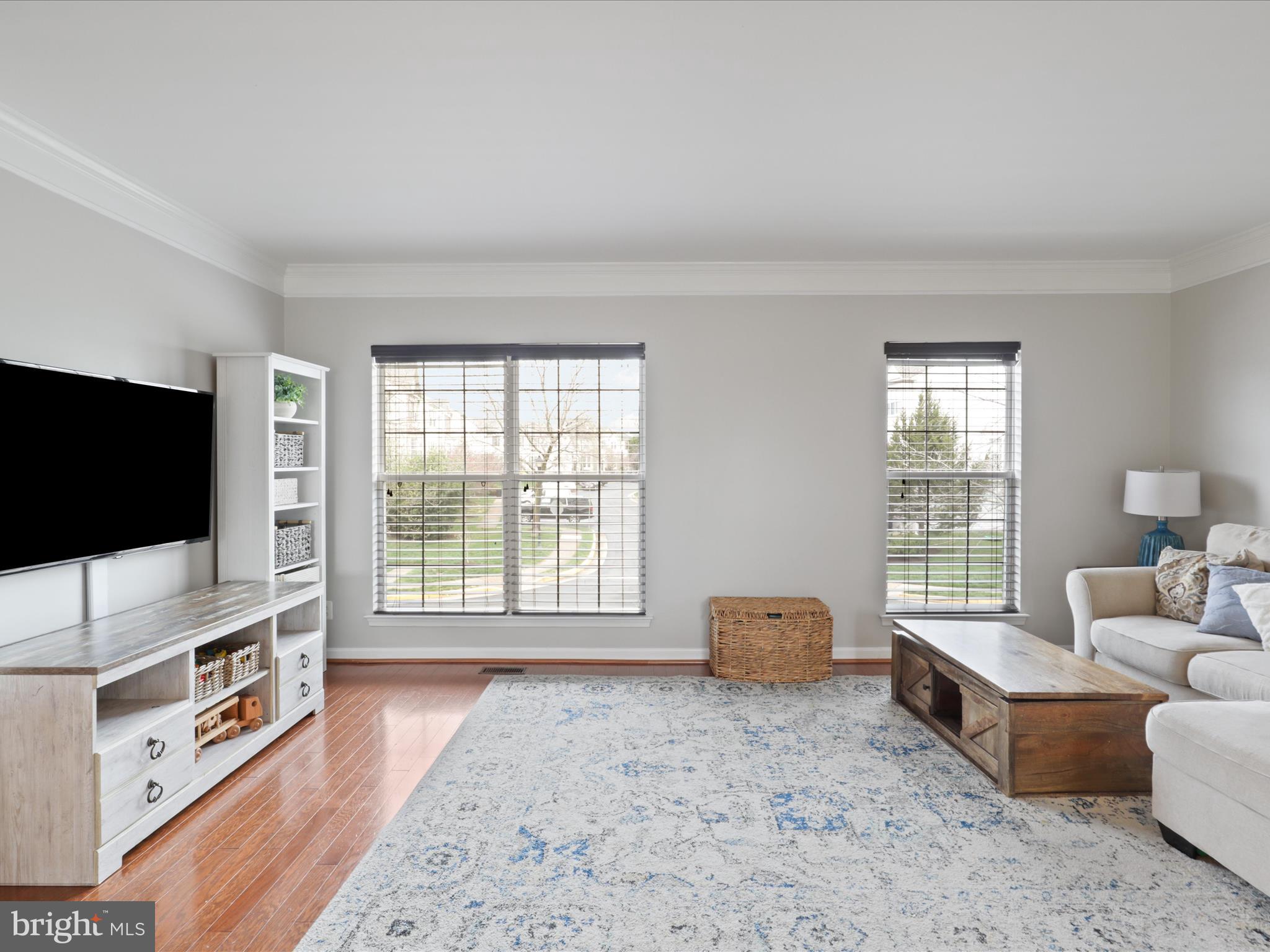 43271 Chokeberry Square Ashburn, VA 20147 - Photo 9 of 45 a living room with furniture and a flat screen tv