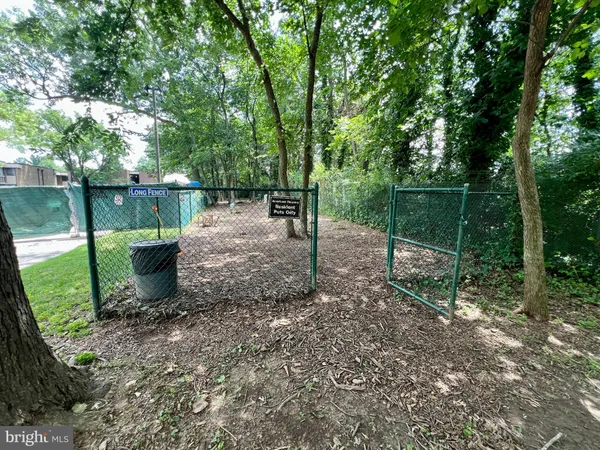 a view of a backyard with large trees