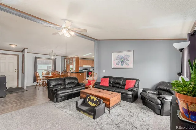 a living room with furniture or couch and a flat screen tv