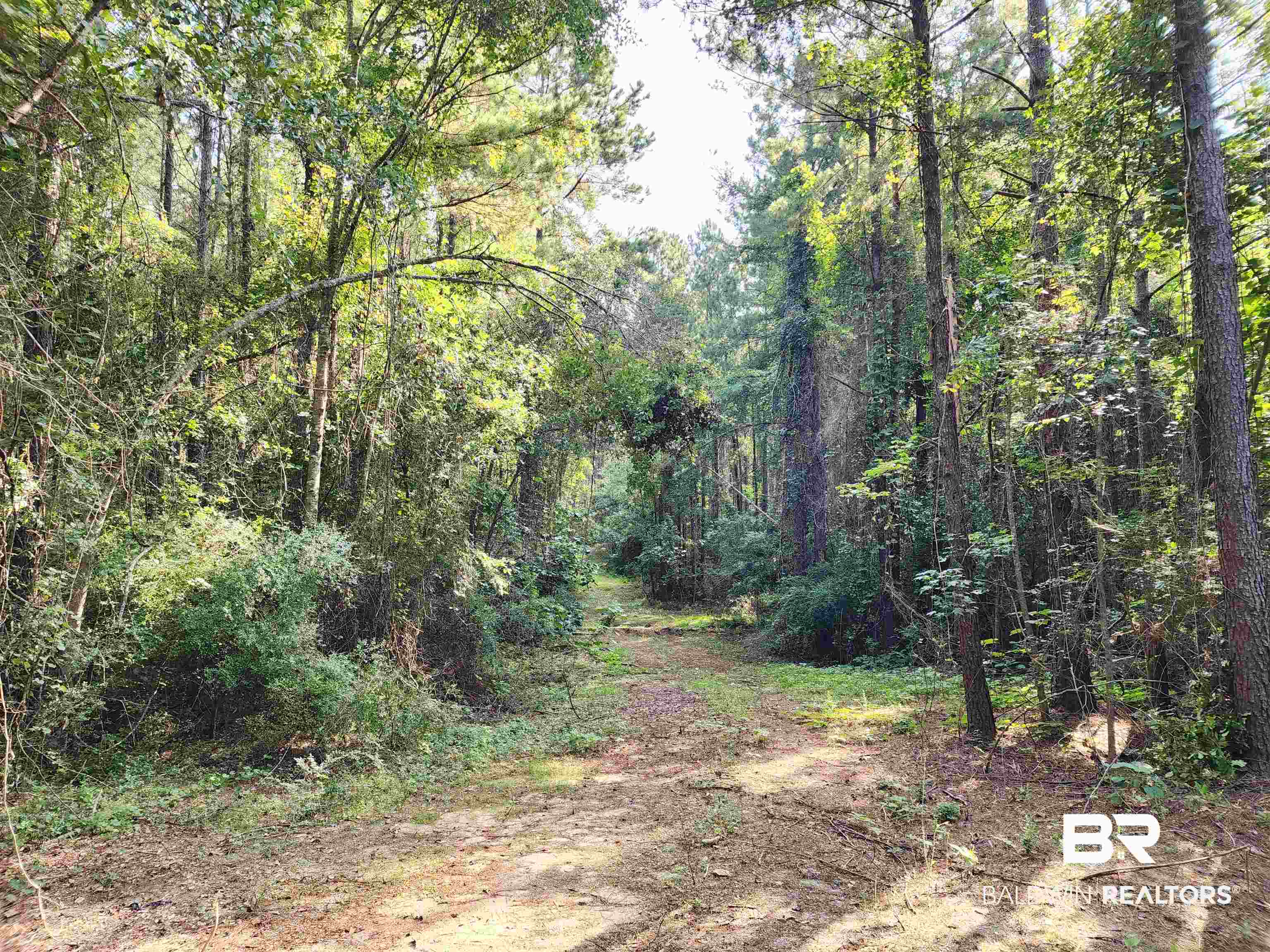 0 Lowery Road Atmore, AL 36502 - Photo 3 of 28