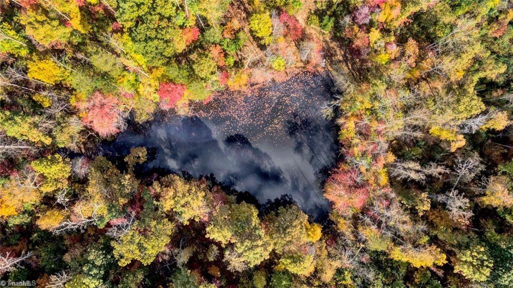 1381 South Friendship Road Germanton, NC 27019 - Photo 43 of 47