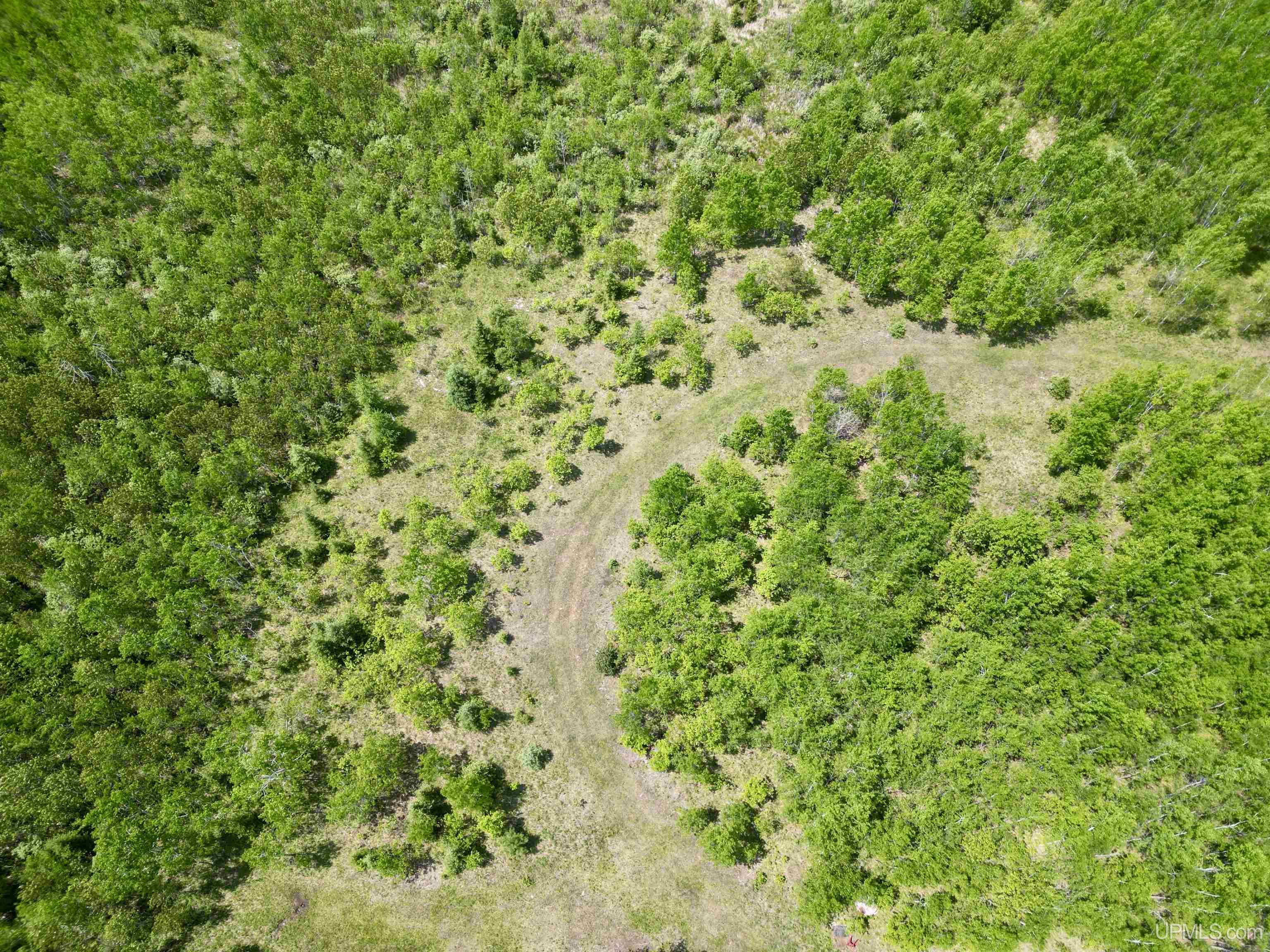 400 Rd Perronville Mi 49807 Road Bark River, MI 49807 - Photo 5 of 30