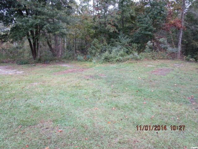 665 Sutto Road Georgetown, SC 29440 - Photo 17 of 18 Gallery Image 17