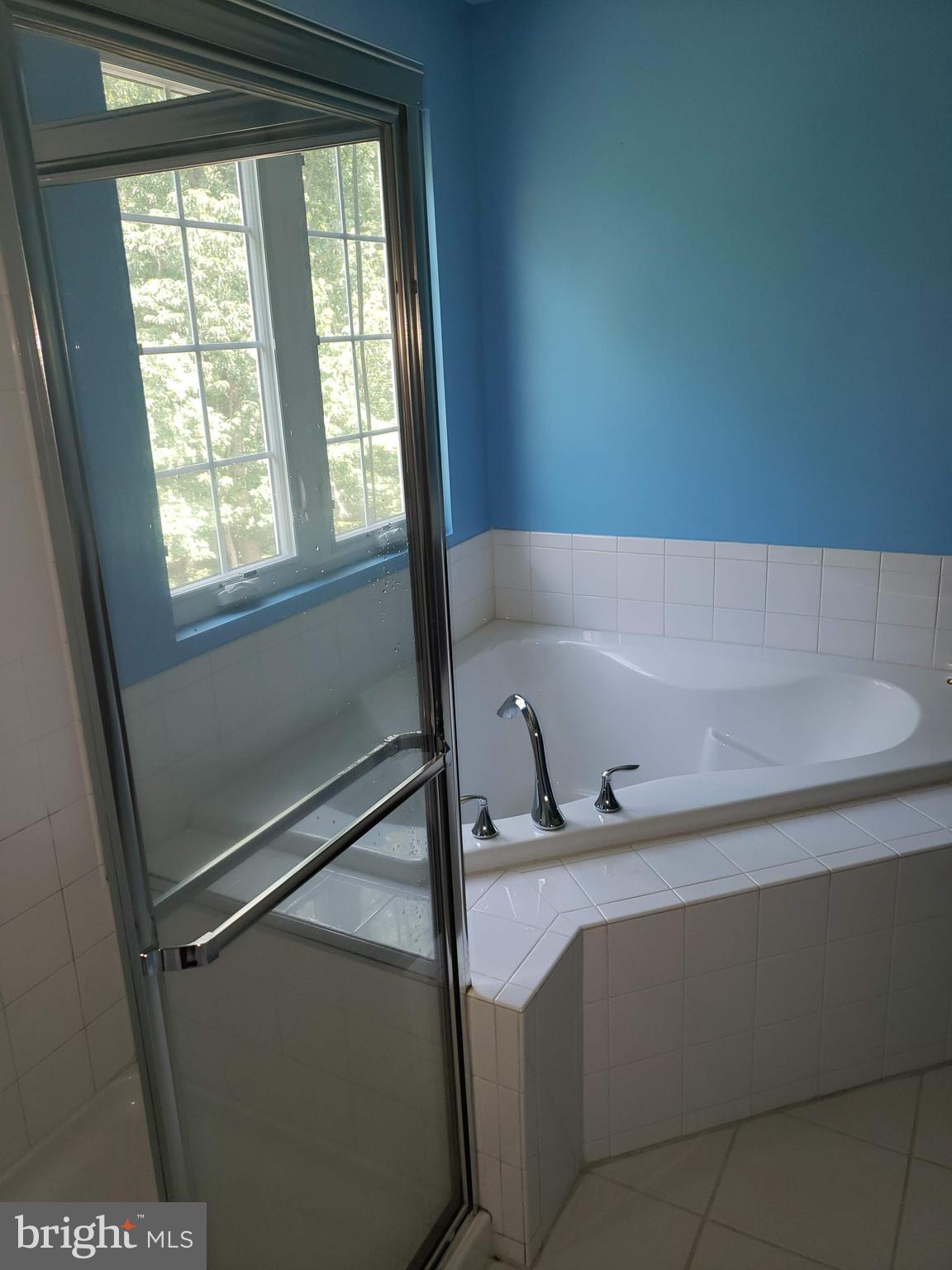 8543 Crooked Tree Lane Laurel, MD 20724 - Photo 11 of 20 Primary bath soaking tub