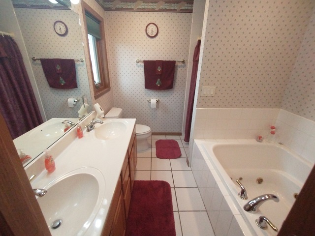 8597 East Winneshiek Road Ridott, IL 61067 - Photo 22 of 49 a bathroom with a tub sink and mirror
