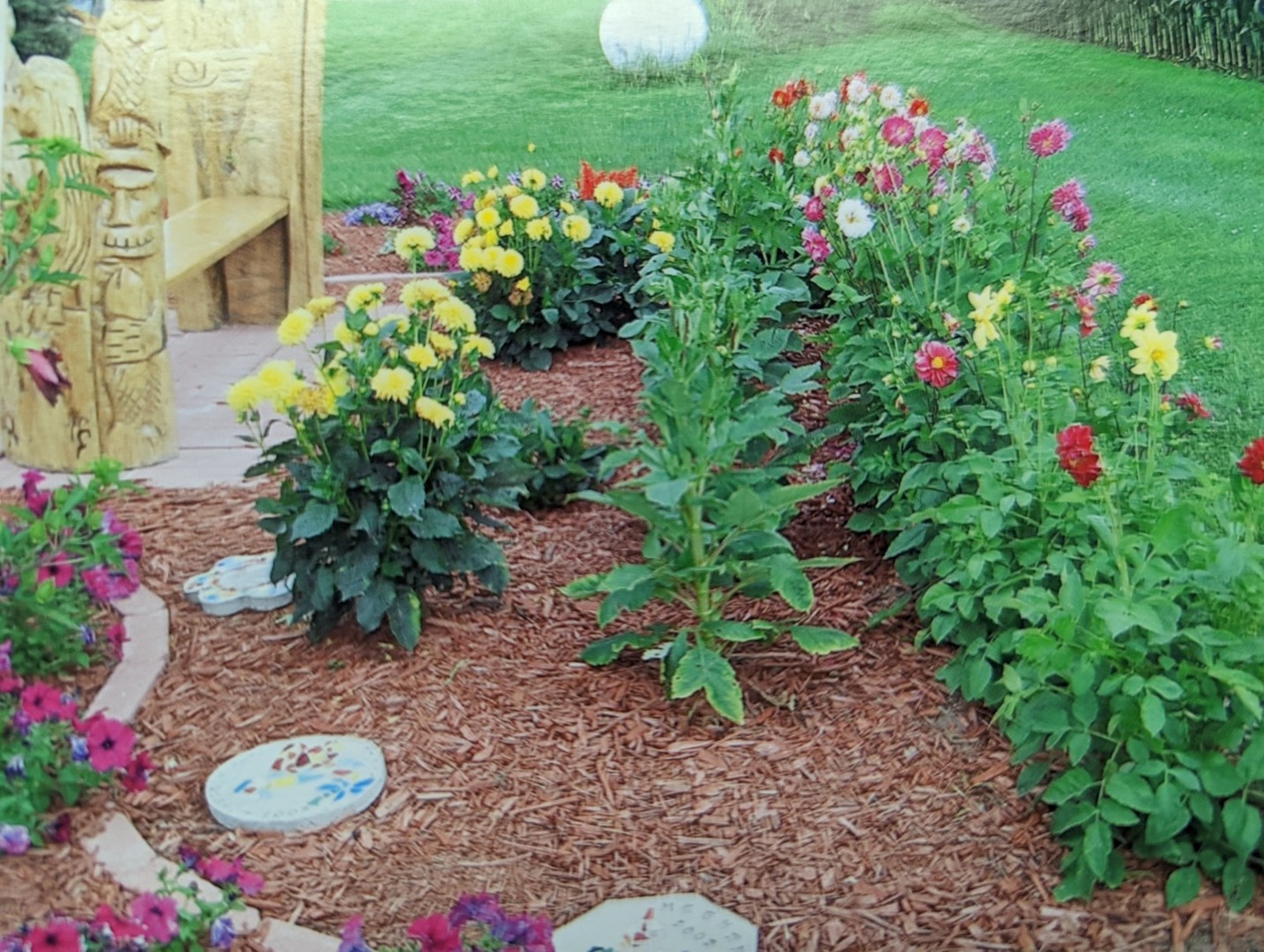 8597 East Winneshiek Road Ridott, IL 61067 - Photo 29 of 49 a view of a flower in a garden