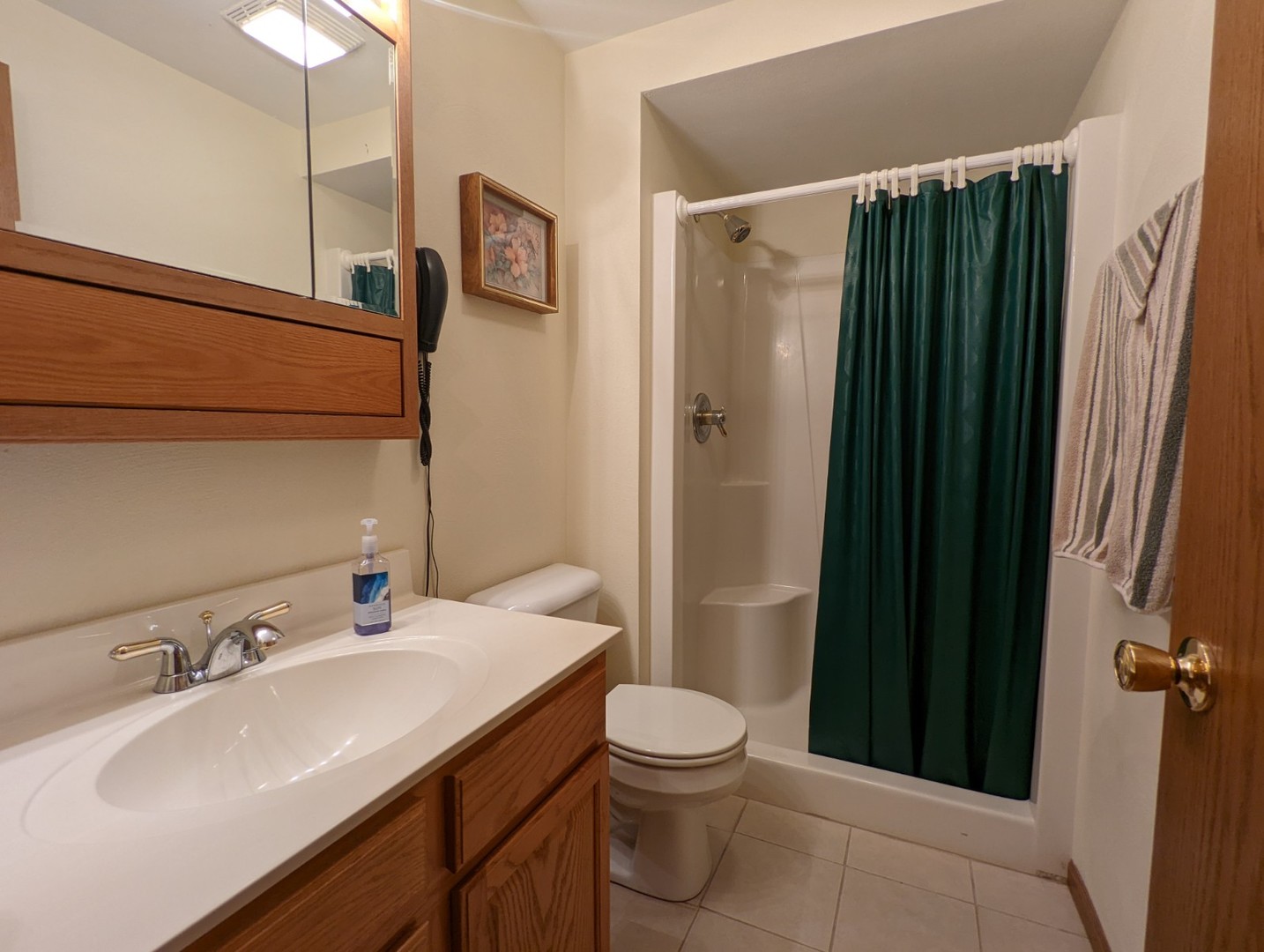 8597 East Winneshiek Road Ridott, IL 61067 - Photo 39 of 49 a bathroom with a sink a toilet and shower