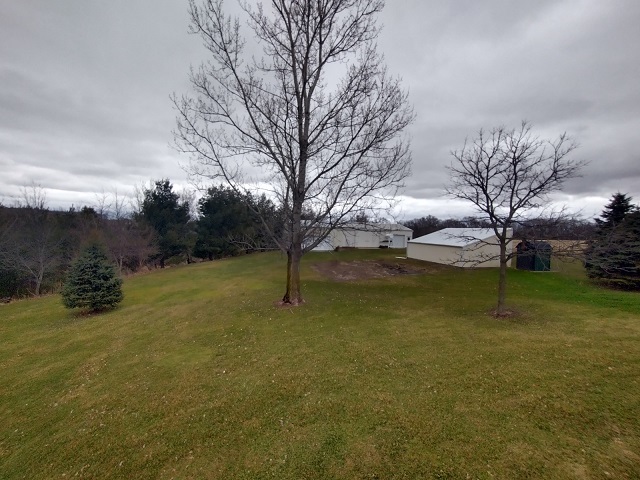 8597 East Winneshiek Road Ridott, IL 61067 - Photo 42 of 49 a view of pool with tree s